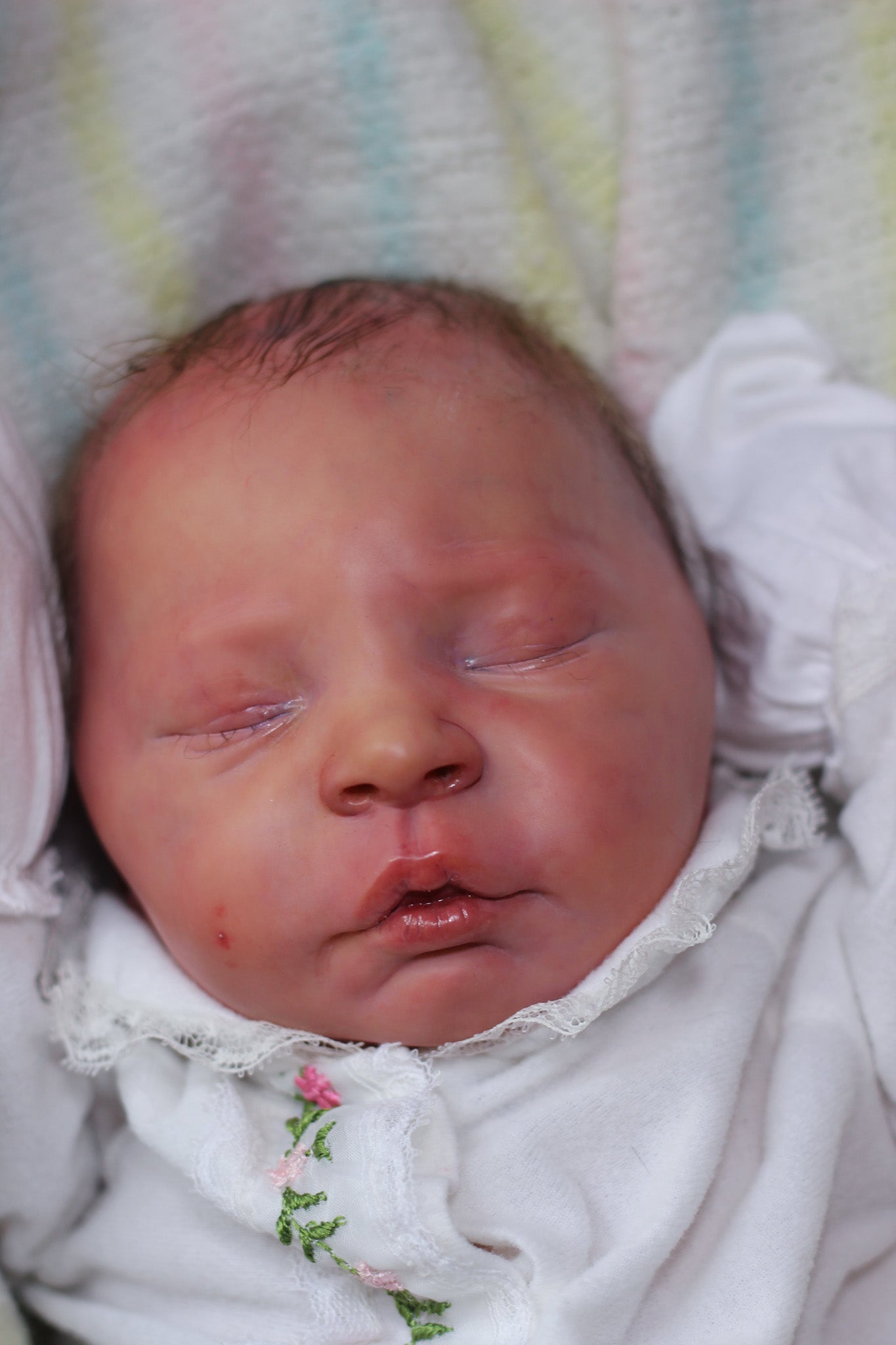 Reborn Baby Cuddle Elisa Ann