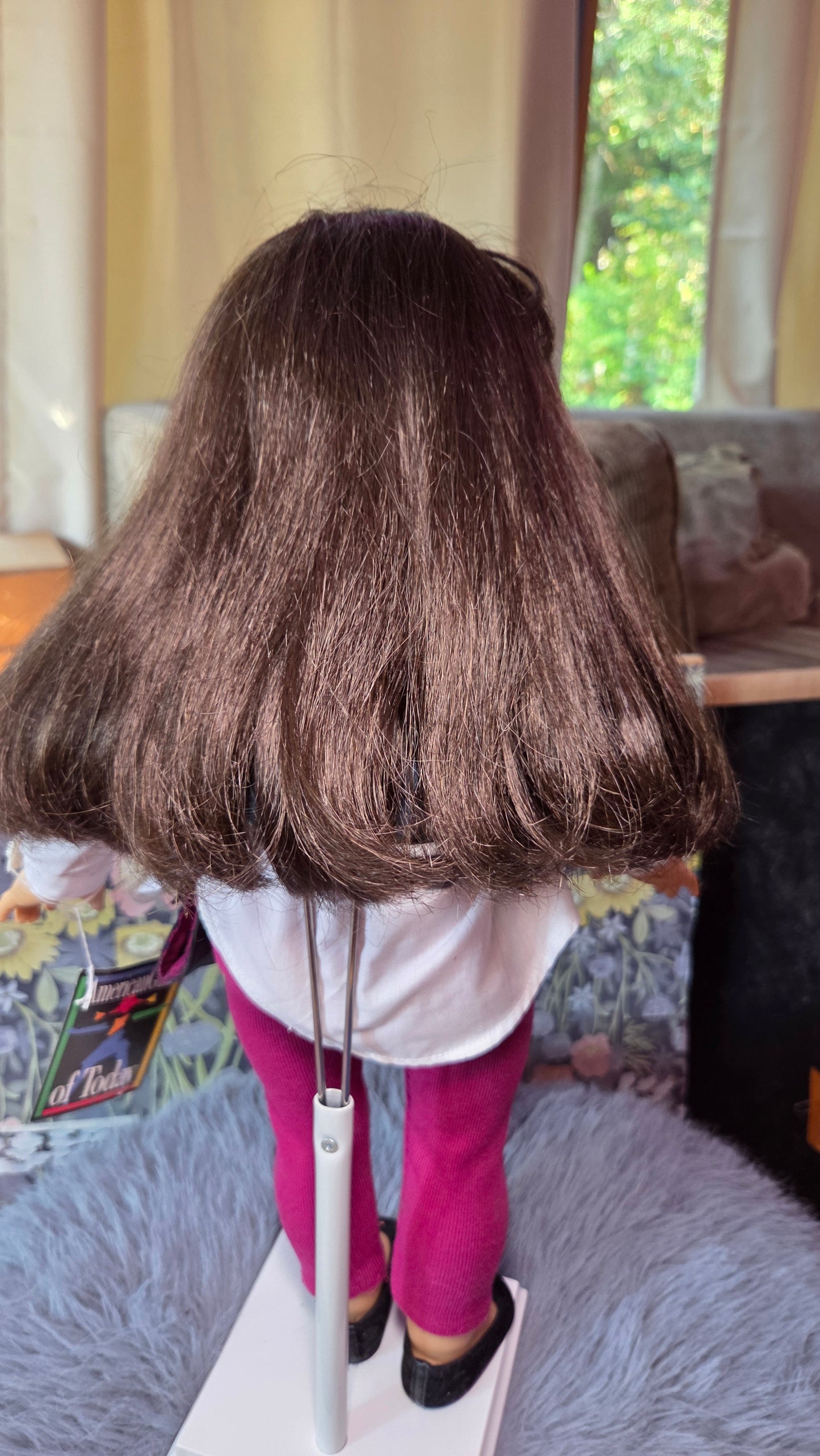 Pleasant Company American Girl of Today RARE 19.1 Dk Brown Hair, Grey Eyes