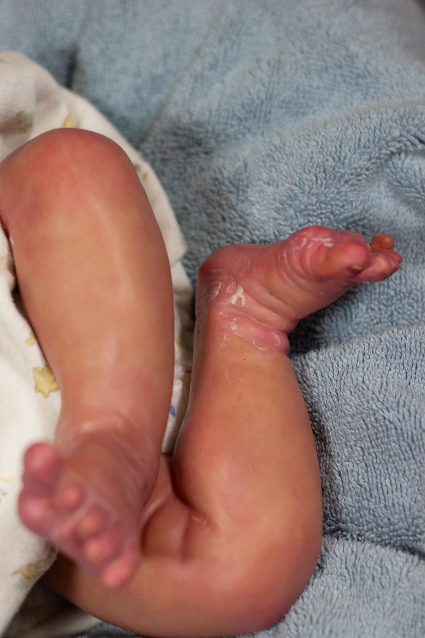 Reborn Baby Elsie Anne