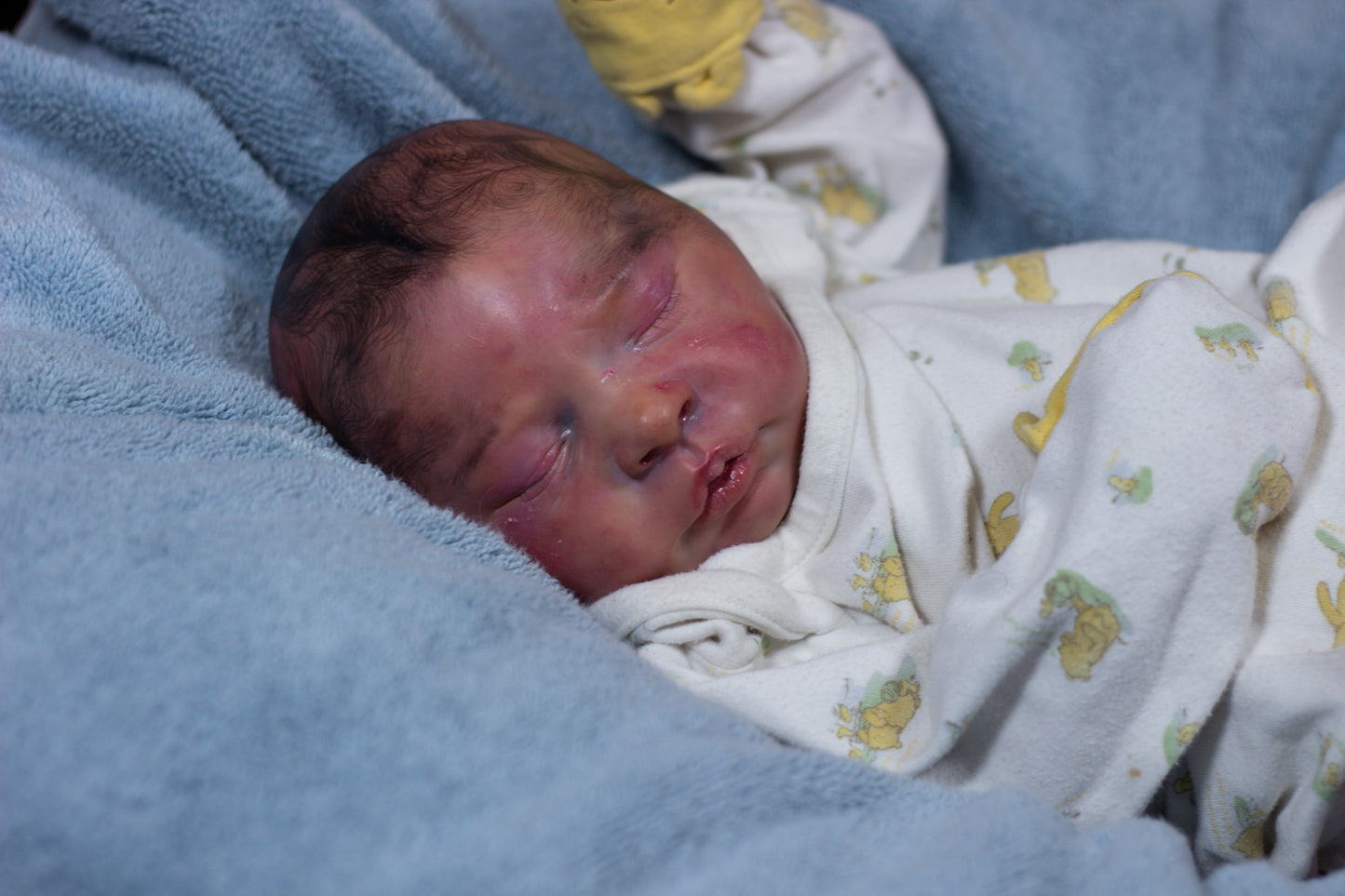 Reborn Baby Elsie Anne
