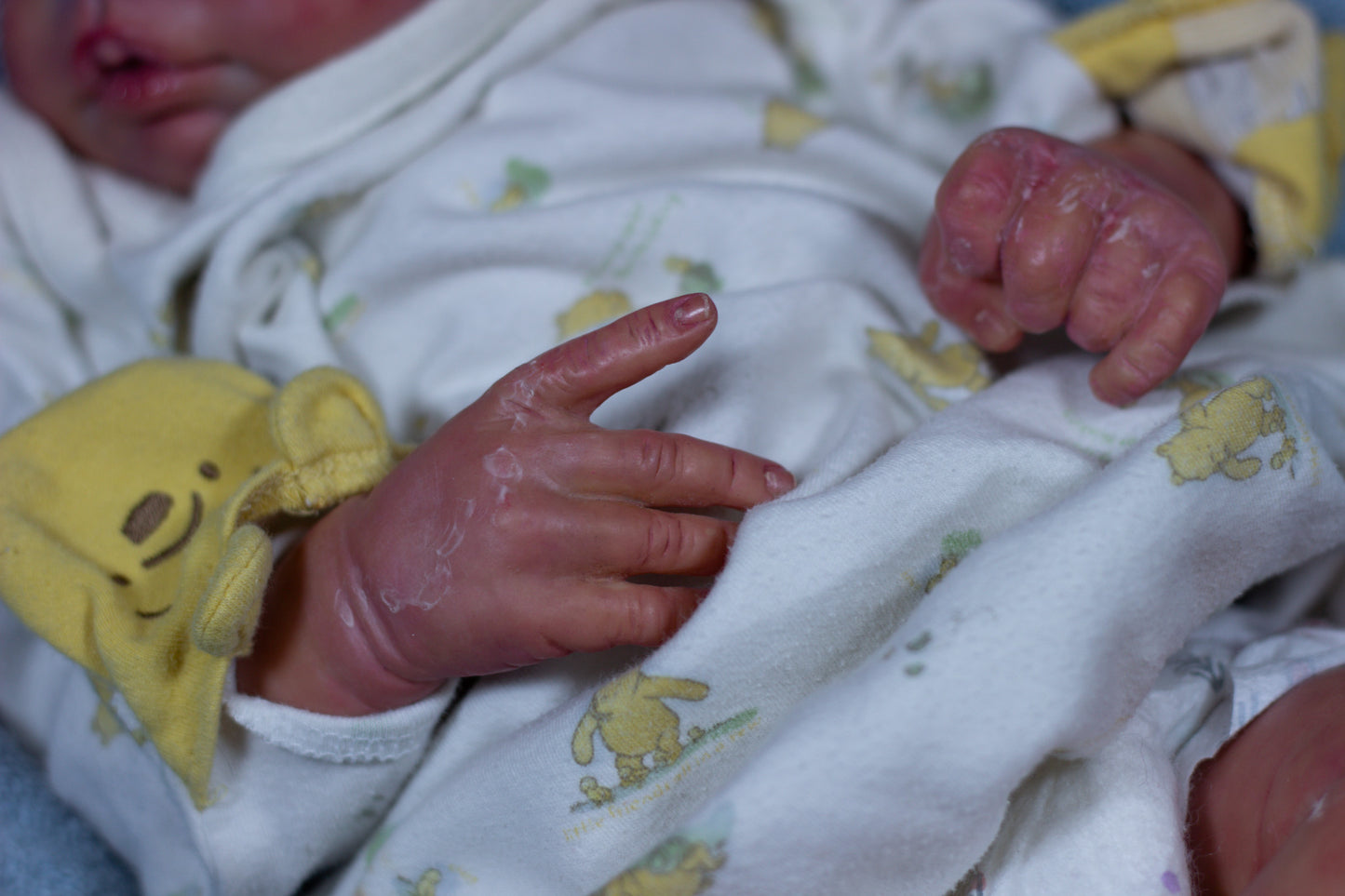 Reborn Baby Elsie Anne
