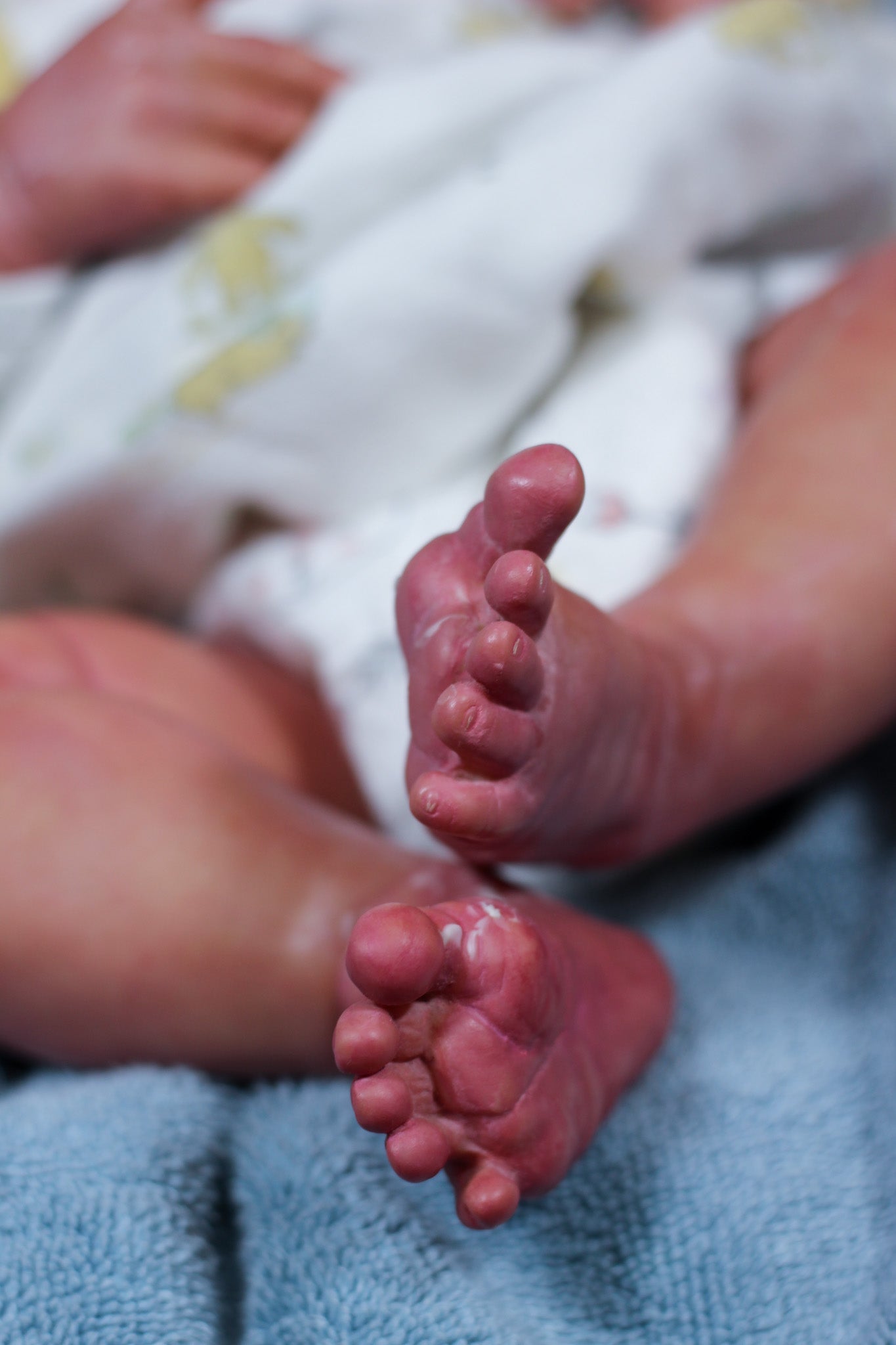 Reborn Baby Elsie Anne