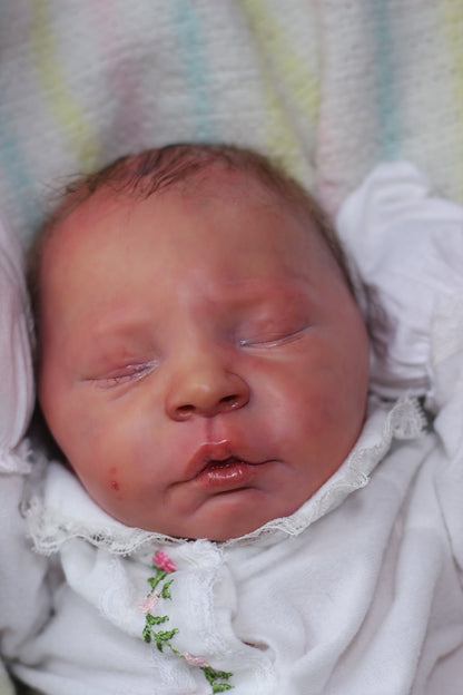 Reborn Baby Cuddle Elisa Ann