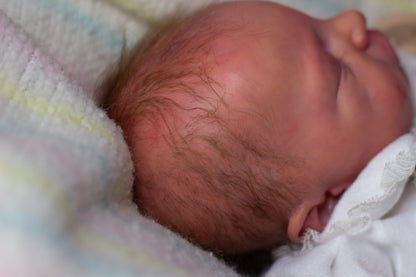 Reborn Baby Cuddle Elisa Ann