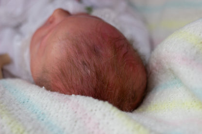 Reborn Baby Cuddle Elisa Ann