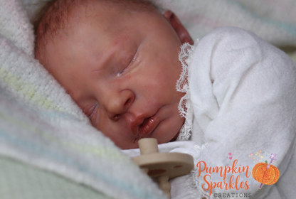 Reborn Baby Cuddle Elisa Ann